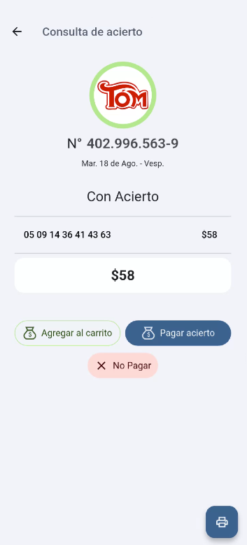 Botón Pagar acierto en Consulta de acierto