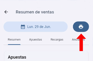 Imprimir resumen